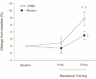 DHEA Placebo