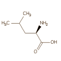 Leucin Struktur