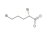 Ornithin Molekül