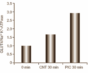 Piceatannol Insulin 2