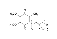 Q10 Struktur